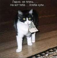 Точечный рисунок.jpg