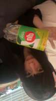 IMG8901.jpeg