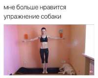 17504371036233.jpg