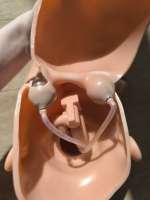 IMG20250624171014.jpg