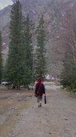 7086097778991975682 I walk among huge stones similar to goblins264.mp4
