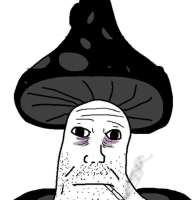 17492206498930.png