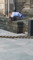 16414440815170.mp4