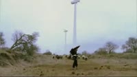16750896888740.mp4