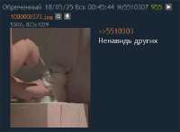 5510307.jpg