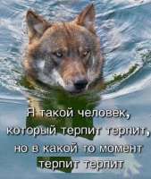 IMG20250211210031639.jpg