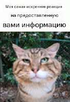 17401497950000.jpg