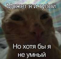 IMG20250227125853633.jpg
