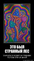1631720230ETO-BYL-STRANNYY-LESdemotions.ru.jpg