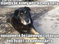 IMG20250411164200428.jpg