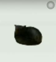 U e e a e a u e e e a e.webm