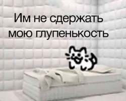 c629c10f16aa2789292f4c9498ba0d22.jpg