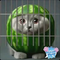 серый пидор в костюме арбуза говорит речь.mp4