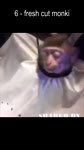 16212883121810.mp4