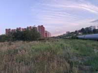 20250730202841.jpg
