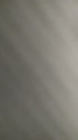 PXL20250513085845436.webm