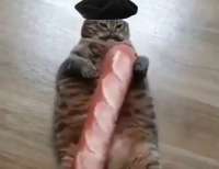 17275441038840.png