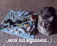 IMG20241126224229166.jpg