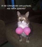 IMG20241019212538371.jpg