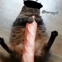 Багет.mp4