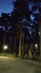 PXL20240518032201812.webm