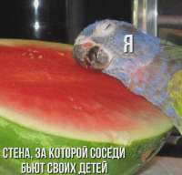 1000000374.jpg