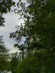 PXL20250517085152367+.jpg