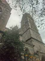 IMG20241123122024.jpg
