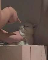 mZweFd39jroPvpe0gWfhwLdB4WGeCsVxWFRBwwbhhO6ue9W7THS-QVrXBC4hR8-1Fq0R6XyrlixC5criIGKzC-.jpg