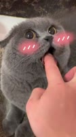 1111111.mp4