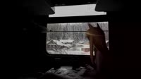 Еду.webm