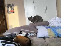 IMG20250409180500.jpg