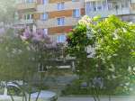 PXL20250521095615021.jpg