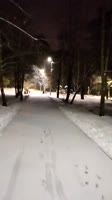PXL20250409044415931.webm