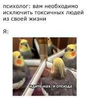 17477007149401.jpg