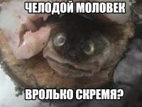 148206245911729380.jpg