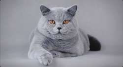 80ebe7ddea510b0c084d47644497c4ee.webp