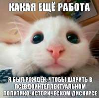 1000000461.jpg