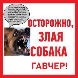 гавчер.jpg