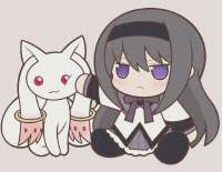shinkuava