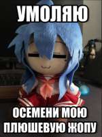 shinkuava