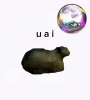 1.mp4