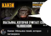 Снимок.PNG