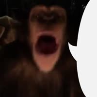 16499346578830.mp4