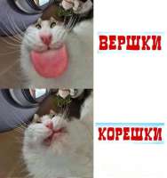 1749649856731.jpg