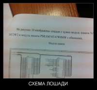 17503641943530.png