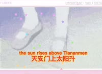 杀了所有的黑鬼.mp4