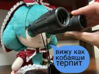 1749747759928.jpg