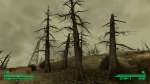 Fallout3 2025-06-14 17-22-17-935.png