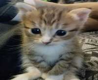 IMG0167.jpeg